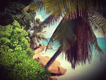 Banana La Digue Tours