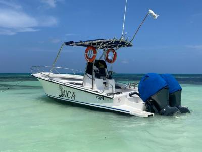 Mica Boat Charter Tours