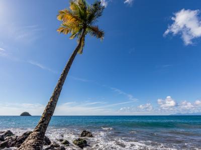 Bureau de la Randonnée